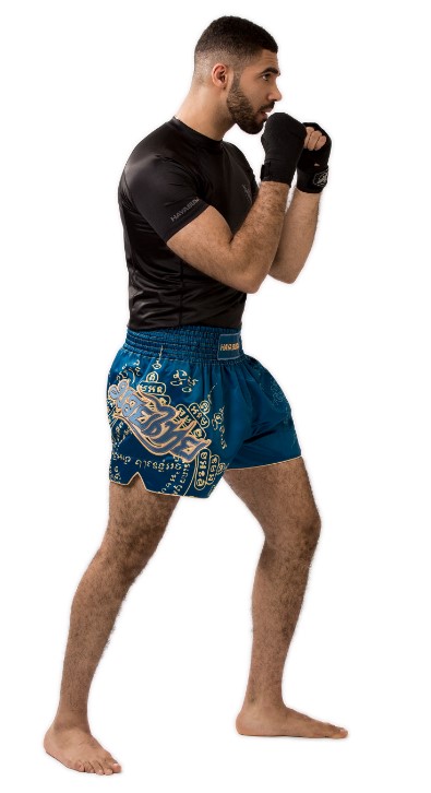Hayabusa Muay Thai Shorts Falcon