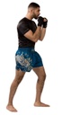 Hayabusa Muay Thai Shorts Falcon