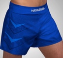 Hayabusa Fight Shorts Arrow