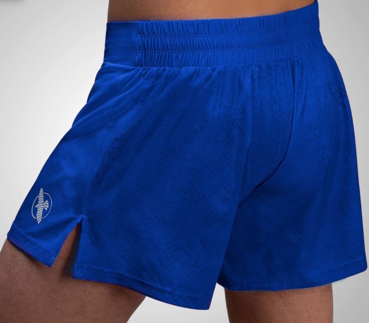 Hayabusa Fight Shorts Arrow