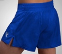 Hayabusa Fight Shorts Arrow