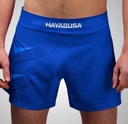 Hayabusa Fight Shorts Arrow