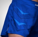 Hayabusa Fight Shorts Arrow