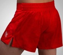 Hayabusa Fight Shorts Arrow