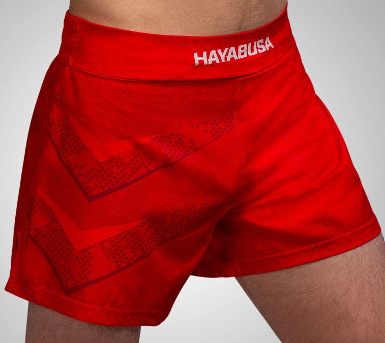 Hayabusa Fight Shorts Arrow