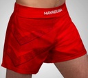 Hayabusa Fight Shorts Arrow