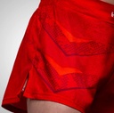 Hayabusa Fight Shorts Arrow