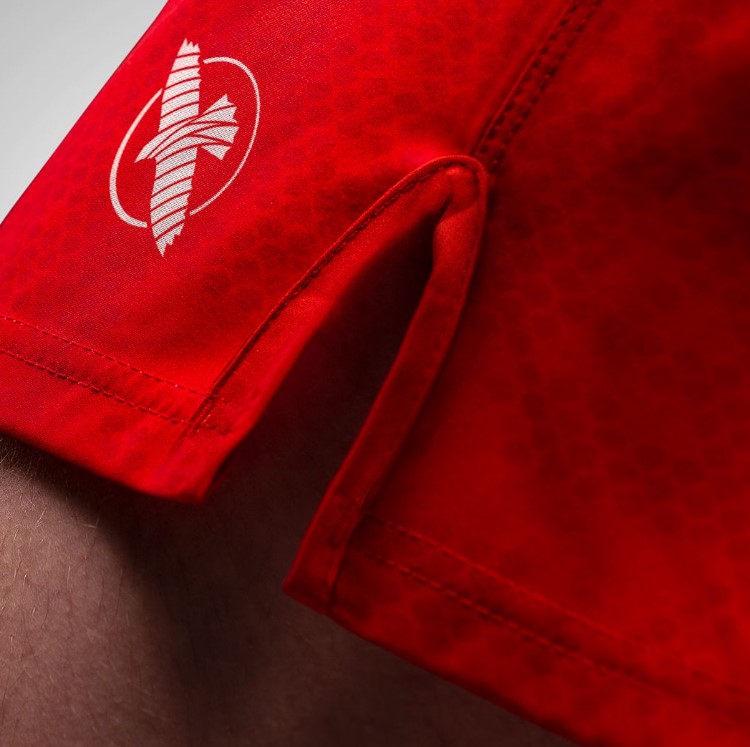 Hayabusa Fight Shorts Arrow