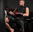 Hayabusa Fight Shorts Hexagon