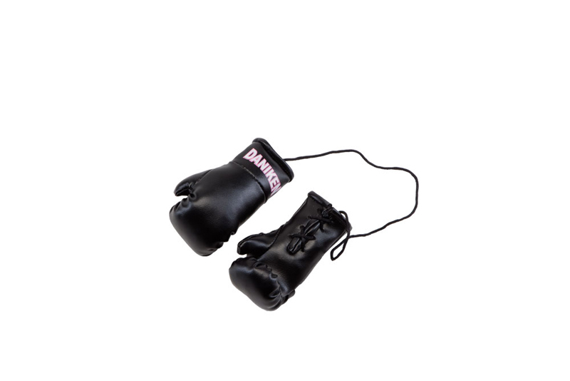 Daniken Mini Boxing Gloves