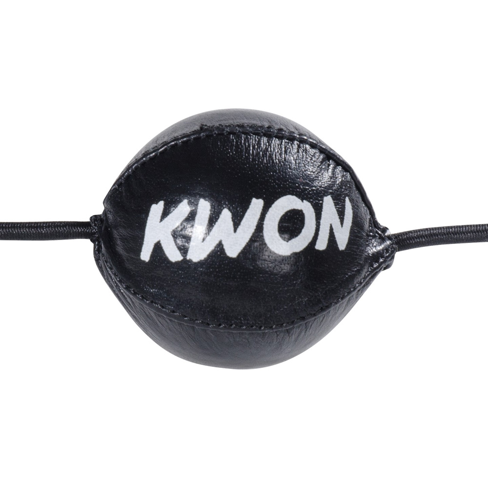 Kwon Reaktionsball, Leder