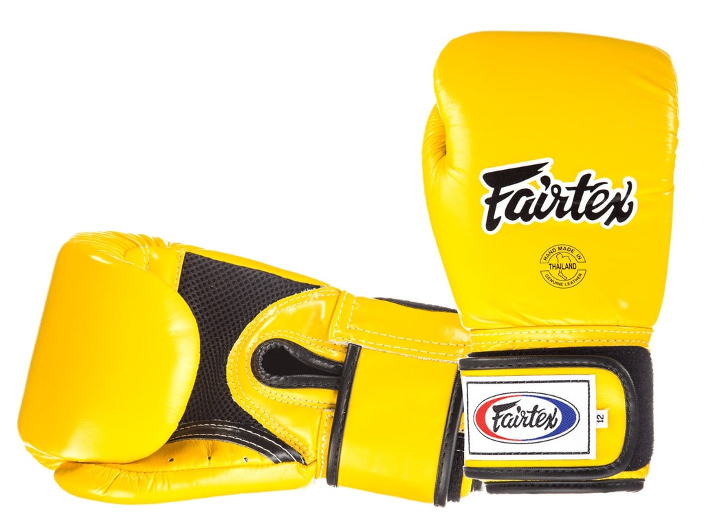 Fairtex Boxing Gloves BGV1 Breathable