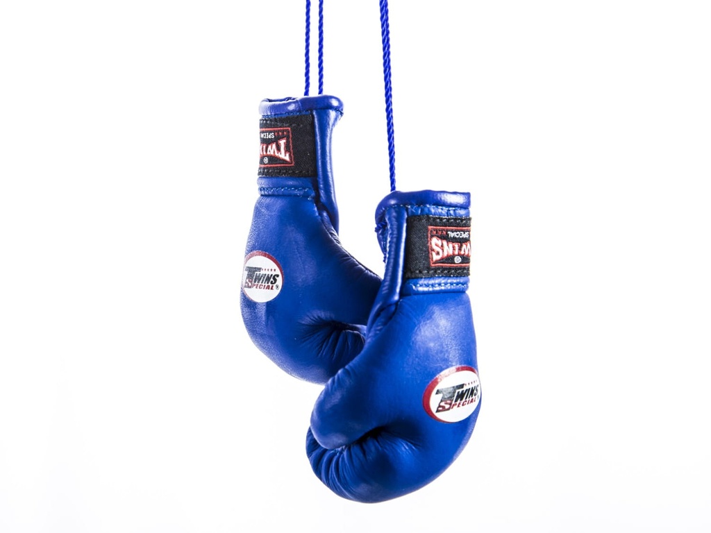 Twins Mini Boxing Gloves, Blue