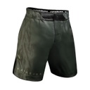 Hayabusa Fight Shorts Apex Long, Green