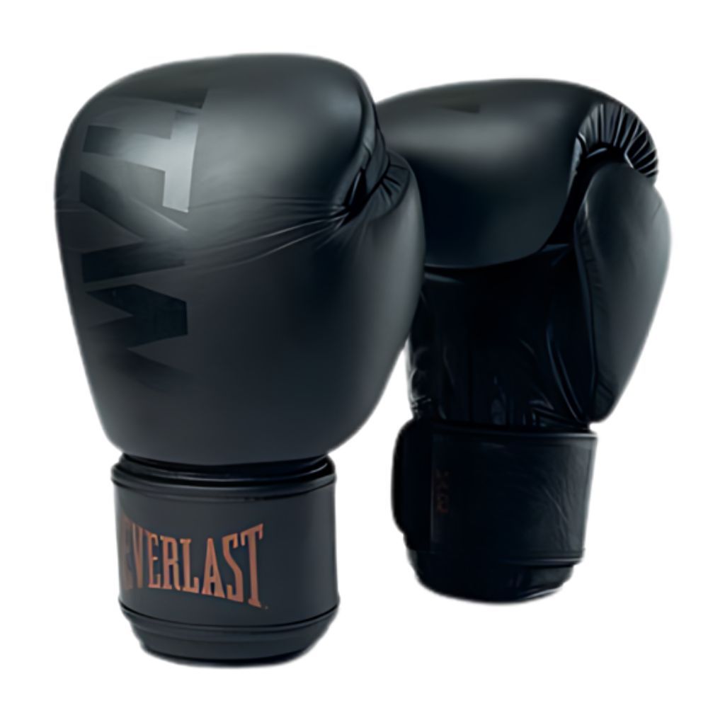 Everlast Boxhandschuhe Titan, Schwarz
