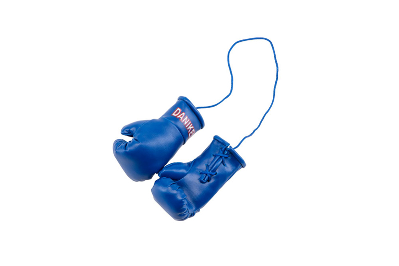 Daniken Mini Boxing Gloves, Blue