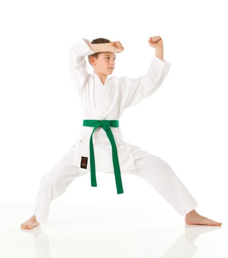 Tokaido Karate Anzug Shoshin