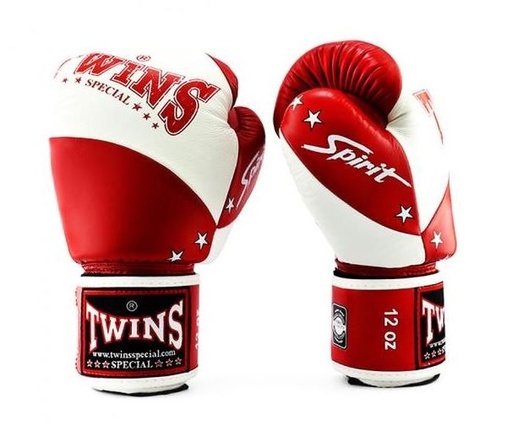 Twins Boxhandschuhe BGVL-10