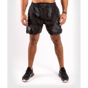 Venum Fight Shorts ONE FC Impact