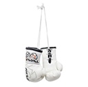 Rival Mini Boxing Gloves