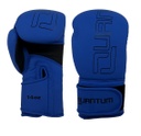 Quantum Boxhandschuhe Q1X, Blau