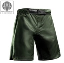 Hayabusa Fight Shorts Core Long, Grün