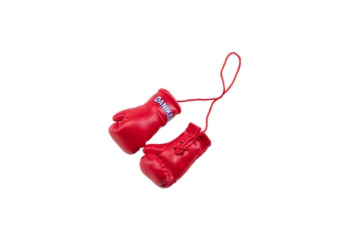 [DAMINBHA-R-10] Daniken Mini Boxing Gloves, Red