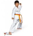Daedo Taekwondo Anzug Basic WT